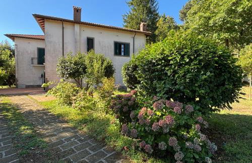 La Casa del Bosco - Foto 1