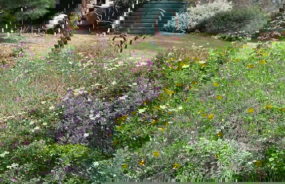 Kinross Metcalfe Farm - Foto 35