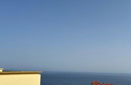 Tropical Garden - Foto 20