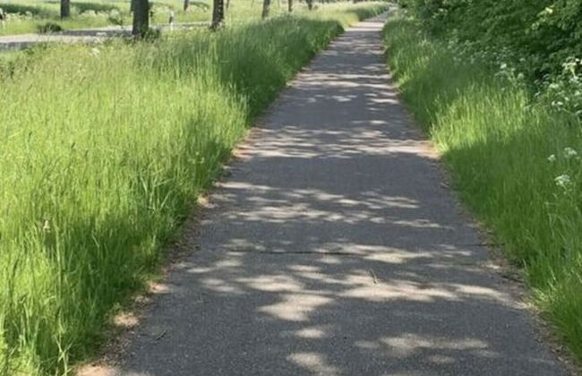 Island Nest Modern Retreat - Foto 28