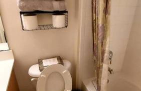 Exquisite & Serene 1 Bedroom, 1 Full Bath Apartment - Foto 31