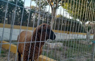 Páteo das Laranjeiras - Foto 44