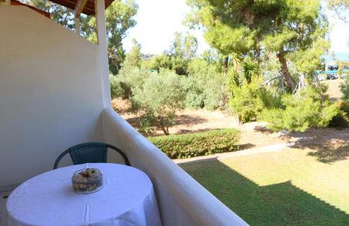 Sani Kasimis - Foto 2