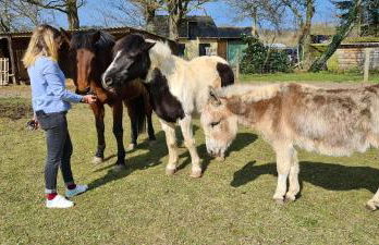 Les Gîtes du Goelo - Foto 80