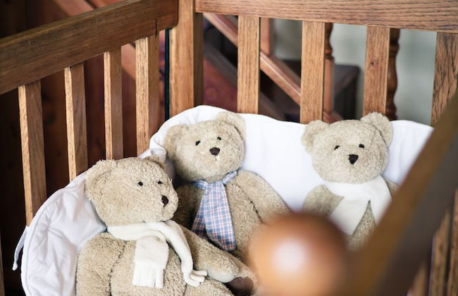 Schoone Oordt Country House - Foto 5