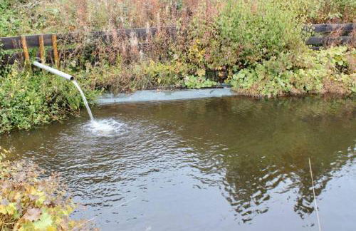 Apartment 279 Mitterdorf - Foto 20