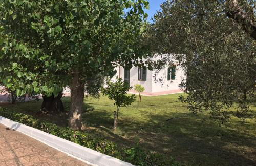 Villa Il Carrubo - Basilicata - Foto 13