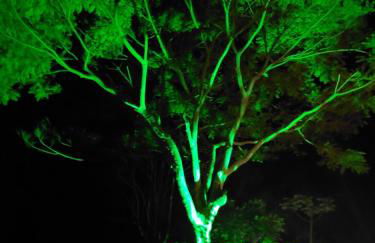 Casa aconchegante na roça c/ piscina/churrasqueira - Photo 34