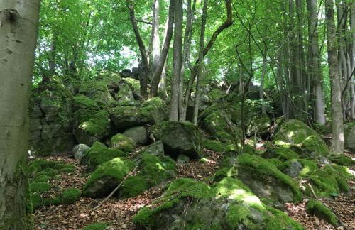 Cozy Apartment in Ellar With Garden - Foto 42