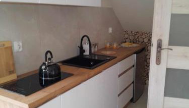 Apartamenty u Joli - Foto 5, stove