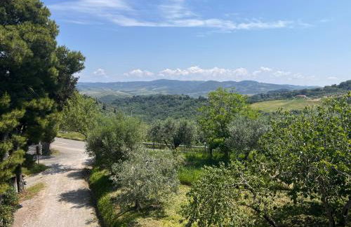 Antica Colombaia - Foto 16