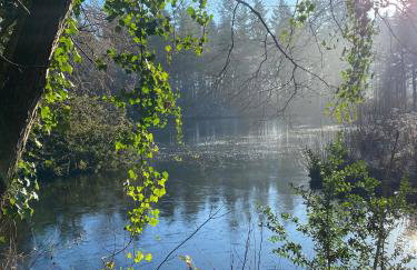 Lynford Holiday Cottages nestled in the heart of Thetford Forest - Foto 45