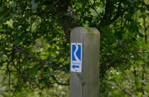 Ferienwohnung Bähr - Photo 14