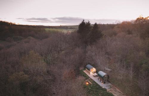 Goldfinch - Photo 20