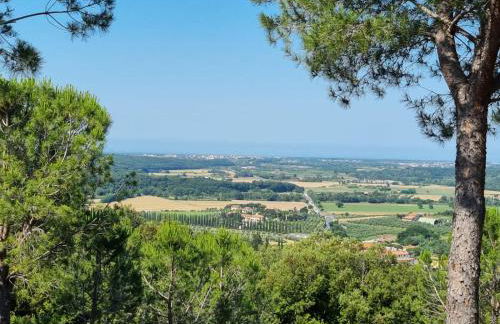 Le Pinetine - Foto 34