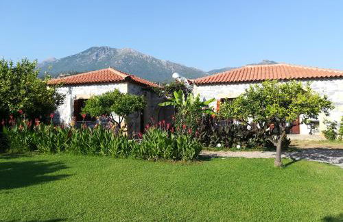 Stoupa's Paradise - Foto 23