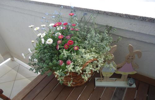 M. DE DOMINISA 5 - Foto 44