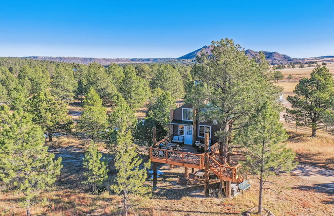 Tree Deer Blind - Foto 31