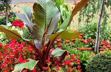 Ferienwohnung La Bohème - Foto 24