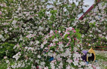 Dom wakacyjny - Foto 13