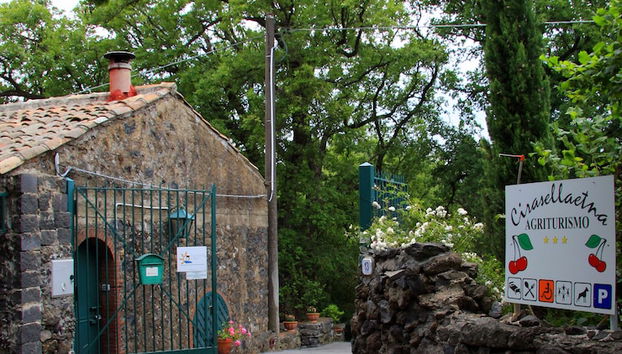 Cirasellaetna - Foto 2, Imagen principal