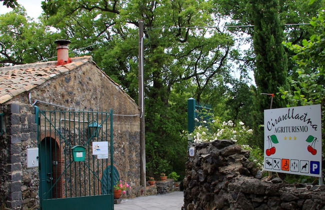 Cirasellaetna - Foto 1