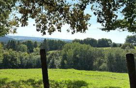 Haus Porsche - Foto 29