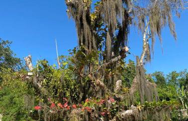 Pousada Meraki Paraty Mirim - Foto 55
