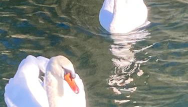 Floating House Embé Experience - Foto 2