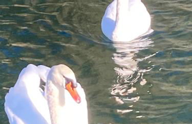 Floating House Embé Experience - Foto 2