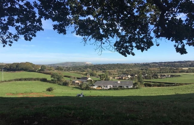 Queen Bower Farm Lodge - Foto 24