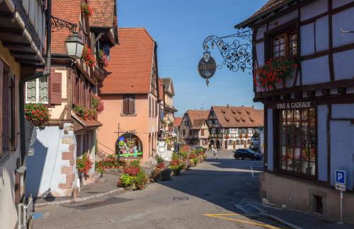 Apartment in Alsace near Haut-Koenigsbourg - Foto 25