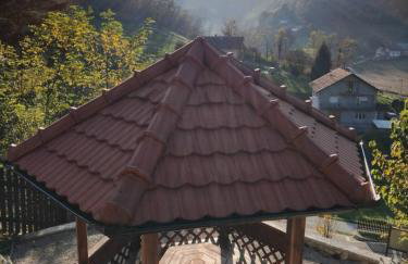 Vila Trnoružica - Foto 63