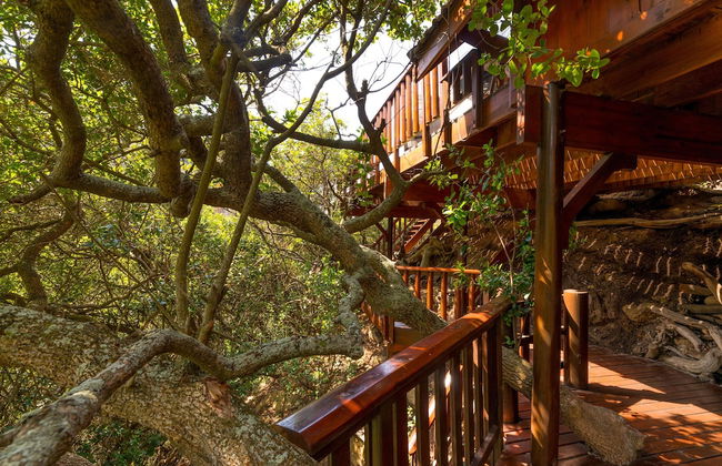 Ballots Bay Treehouse by HostAgents - Photo 4