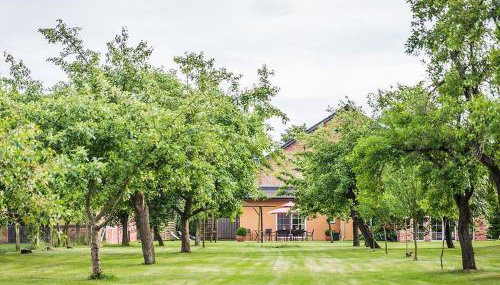 Ferienhaus Sükow - Foto 4