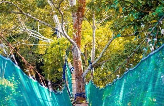 Tronco Tambopata Adventure - Photo 40