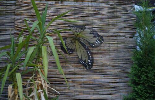 Ferienwohnung TOSCANA - Foto 13
