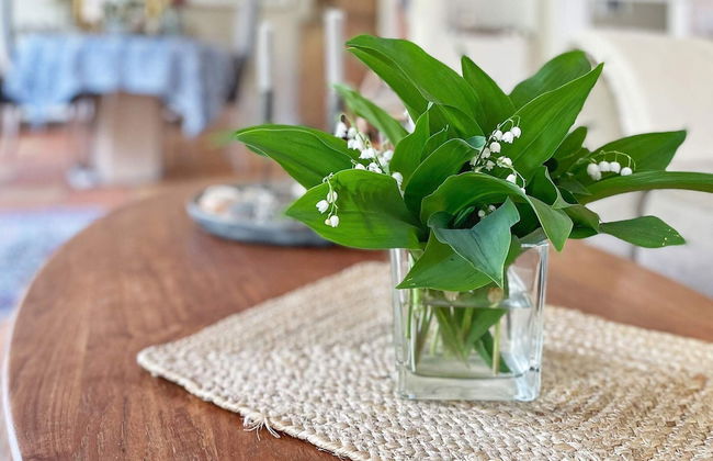 6 Person Holiday Home in Askim-by Traum - Foto 25