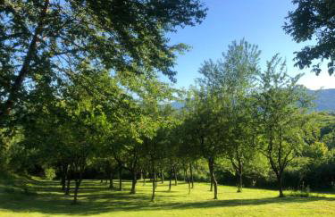 Apartments Smirnov - Foto 29