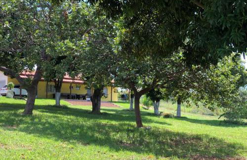 CARAVELAS - Foto 3