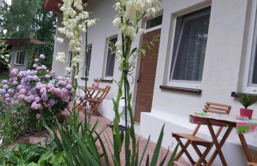 Leśne Zacisze Kretowiny 88 nad jeziorem Narie z własnymi pomostami apartamenty sezonowe lato - Foto 18