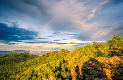 Ferienquartier- Forsthaus - Foto 9