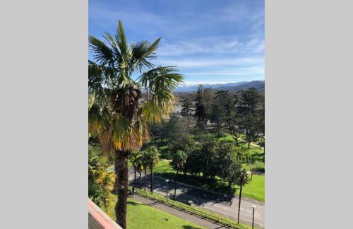 Magnolia : Superbe deux-pièces quartier du Château - Foto 13