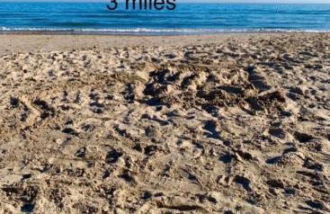 Forest lodge - Foto 39