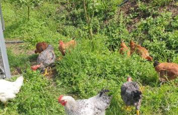 Quinta da Costeira - Casa Azul do Limoal by ALPONTE - Foto 79