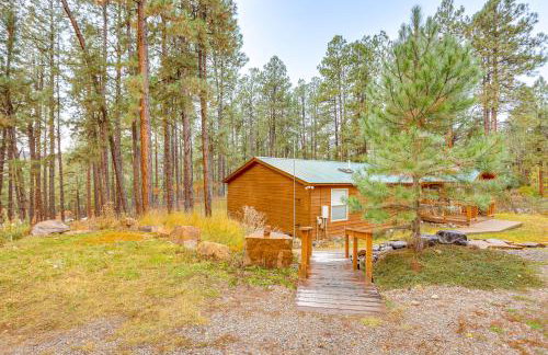 Bayfield Retreat, 9 Mi to Vallecito Reservoir! - Foto 26