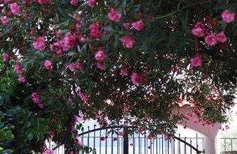 Villa Maris - Foto 2