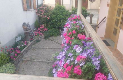 La Fontana di Casa Bernardi, terrazzo Wi-Fi PetFriendly con Area Cani - Foto 37