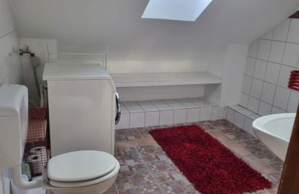 Nature & Local Transport - Foto 5