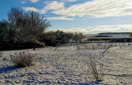 Das Landhaus Wohnung 2 - Photo 21